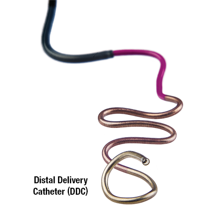 Distal Delivery Catheters (DDC)
