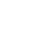 Neuro Arteriovenous Malformation