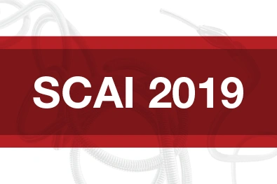 RED Rectangle with text "SCAI 2019"