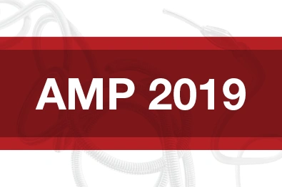 Red Rectangle with text reading "AMP 2019"