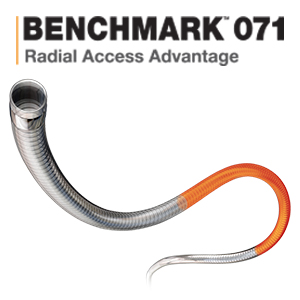BENCHMARK 071 Neuro Delivery Catheter