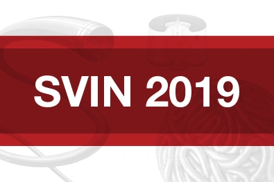 Red rectangle with text "SVIN 2019"