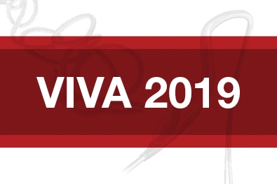 red rectangle with text "VIVA 2019"