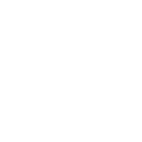 Neuron<sup>®</sup> Intracranial Access System
