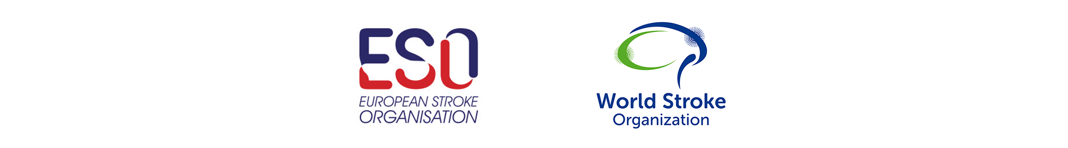 ESO/WSO 2020 | Contact Us