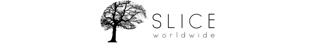 SLICE 2020 | Contact Us