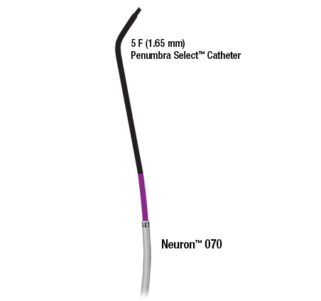 Neuron<sup>™</sup> Intracranial Access System