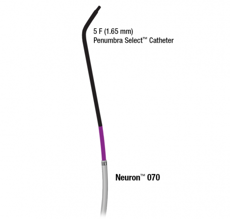 Neuron<sup>™</sup> Intracranial Access System