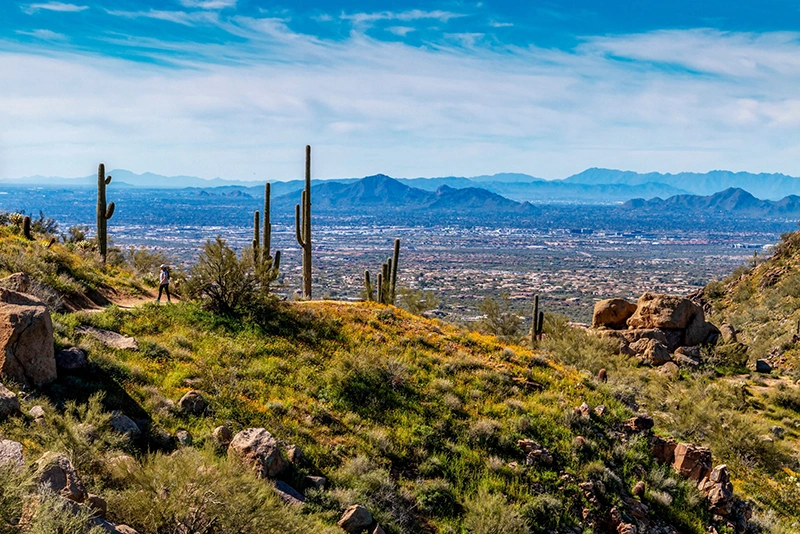 Stock Image of Scottsdale Arizona