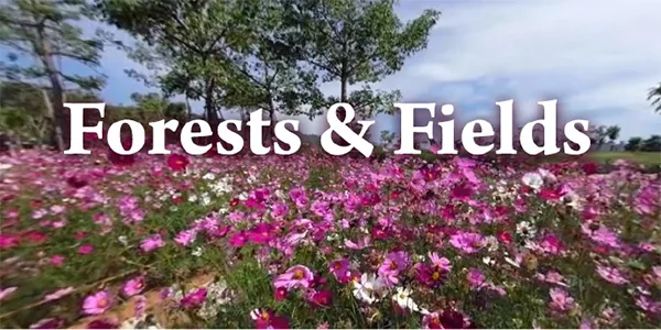 3D Graphics Image of a field of flowers and text logo reading "Forests & Fields" REAL i-Series