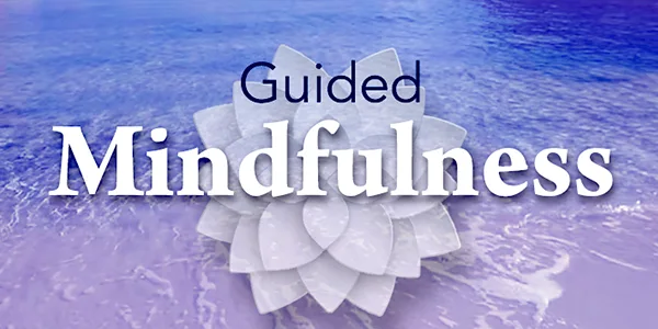 3D Graphics Image of a white lotus flower and text logo reading "Guided Mindfulness" on REAL i-Series