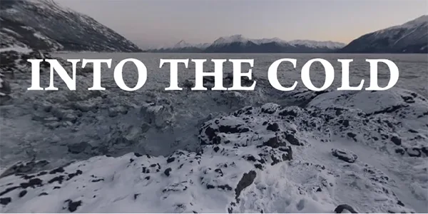 3D Graphics of Snowy mountain peak with text logo reading "Into the cold"