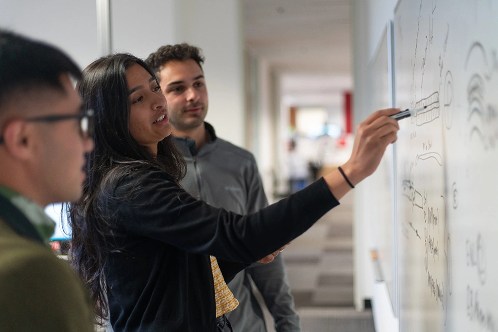 people drawing on whiteboard doing science in a hallway