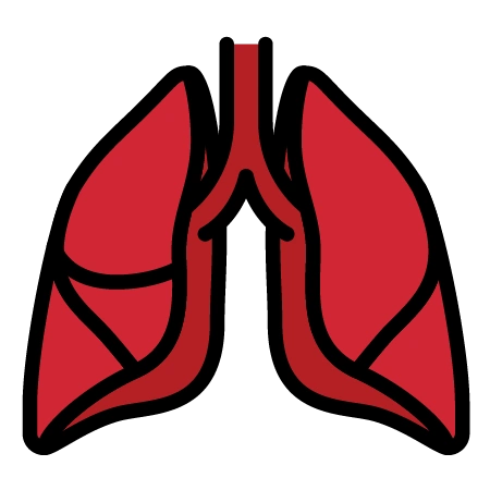 Lungs Icon