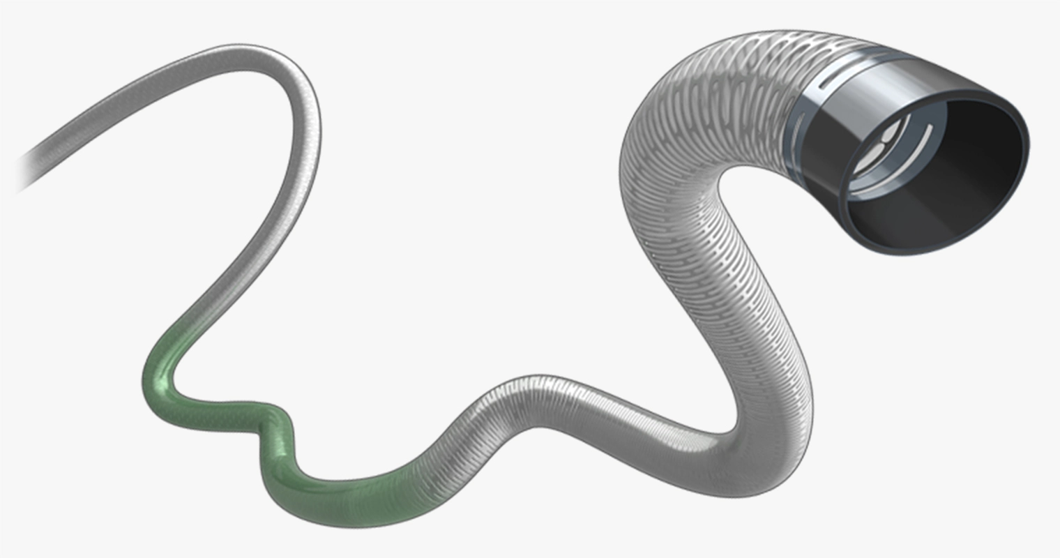 Rendering of BMX81 Access System
