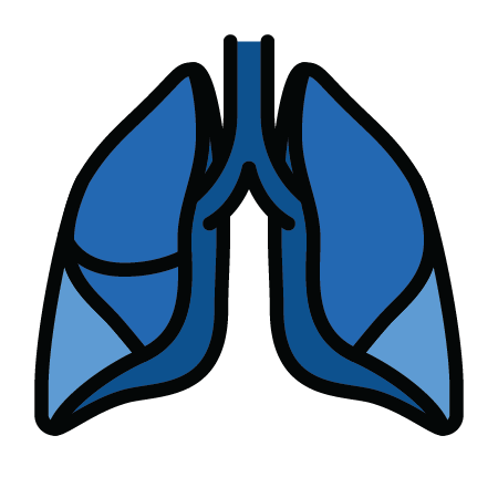 lungs icon