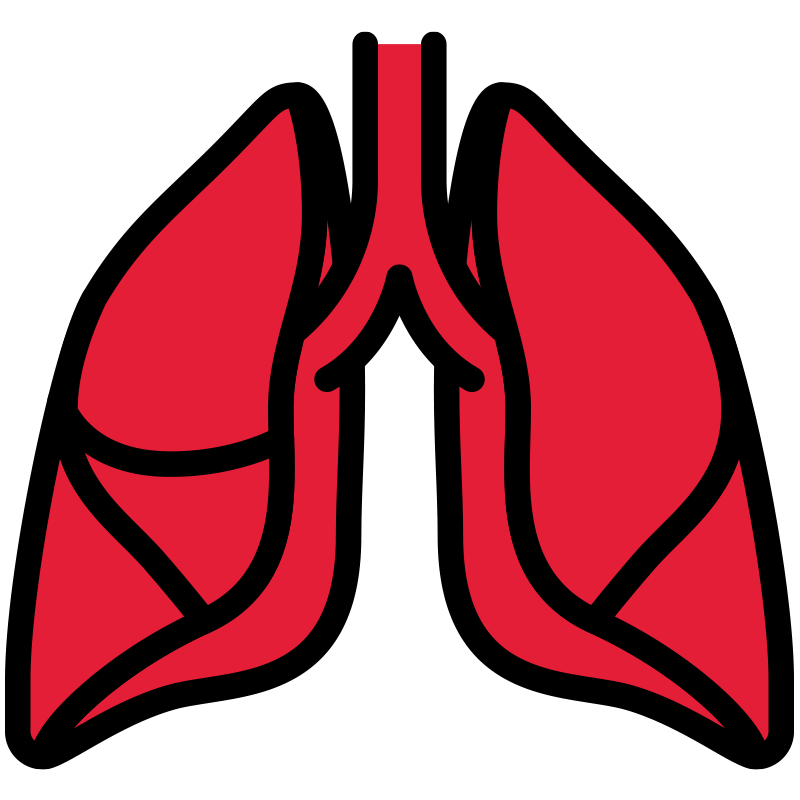 lungs icon