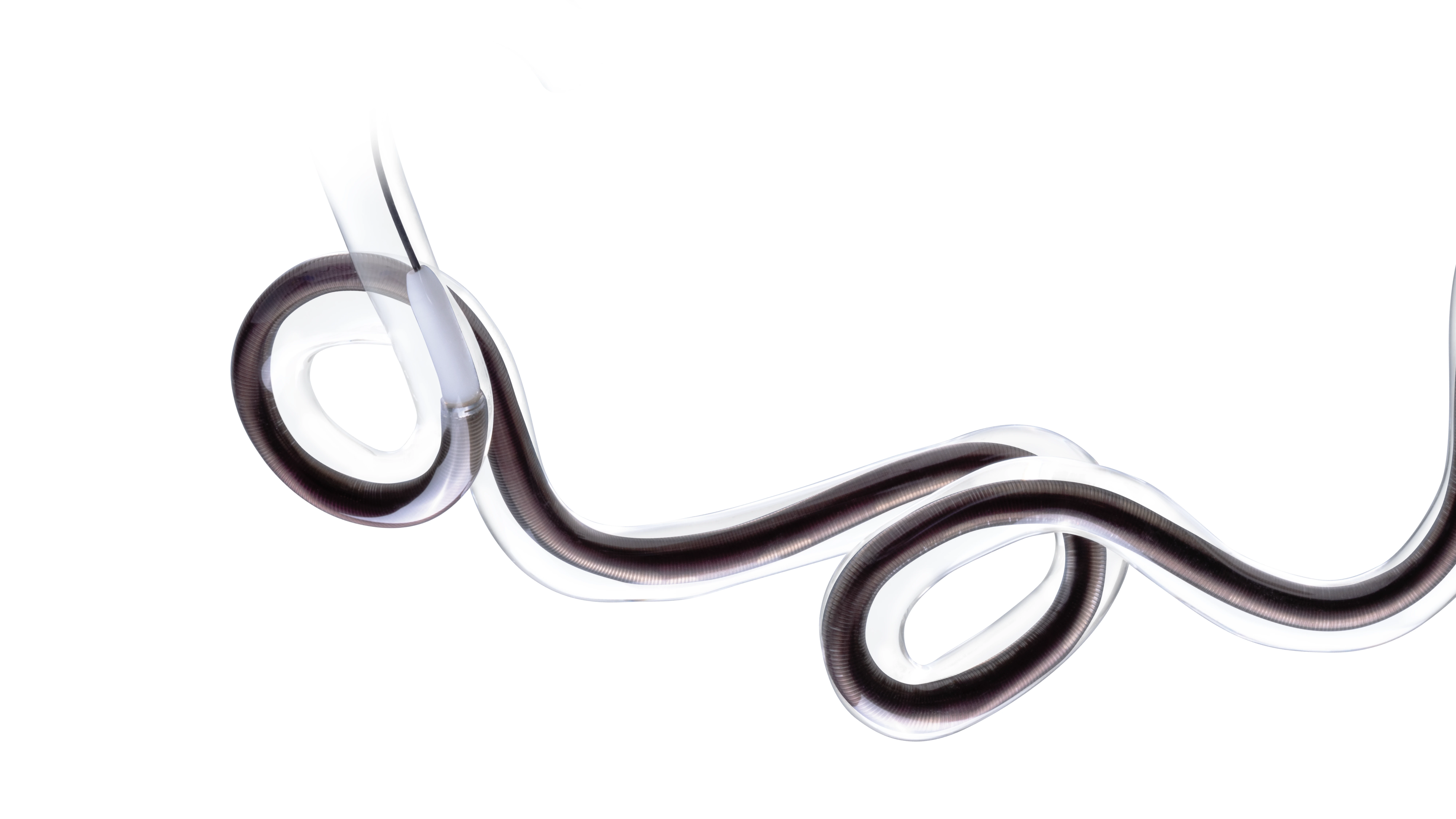 rendering of RED 72 Silver Label Reperfusion Catheter in Glass Tube