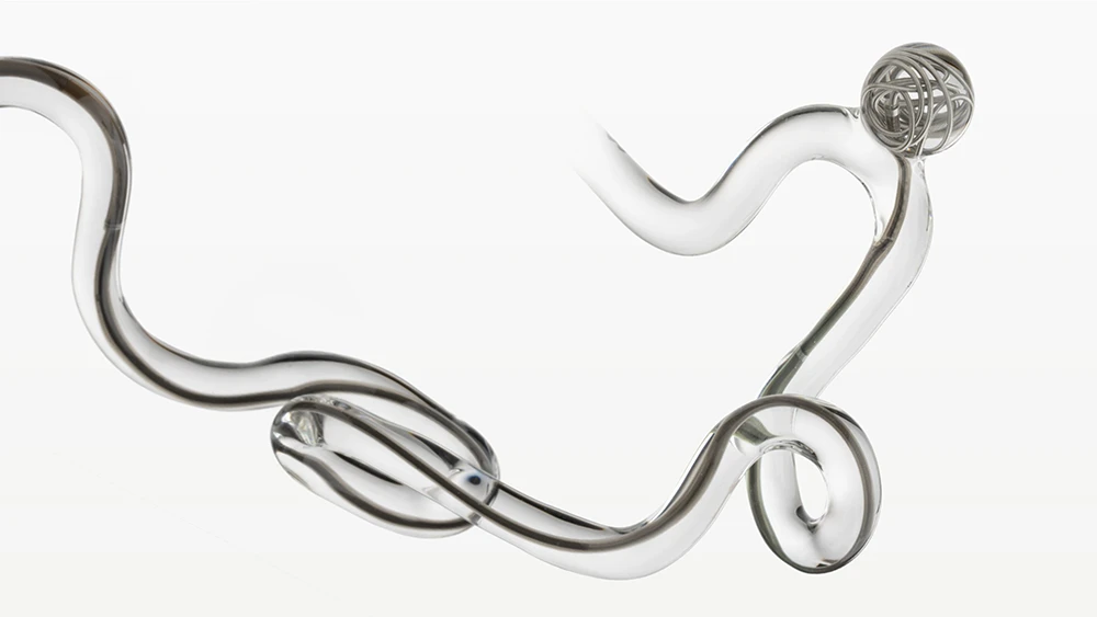 ACCESS25 Delivery Microcatheter