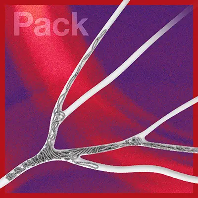 Embolization Coils in a glass model on a red and purple square background with text that reads "pack"