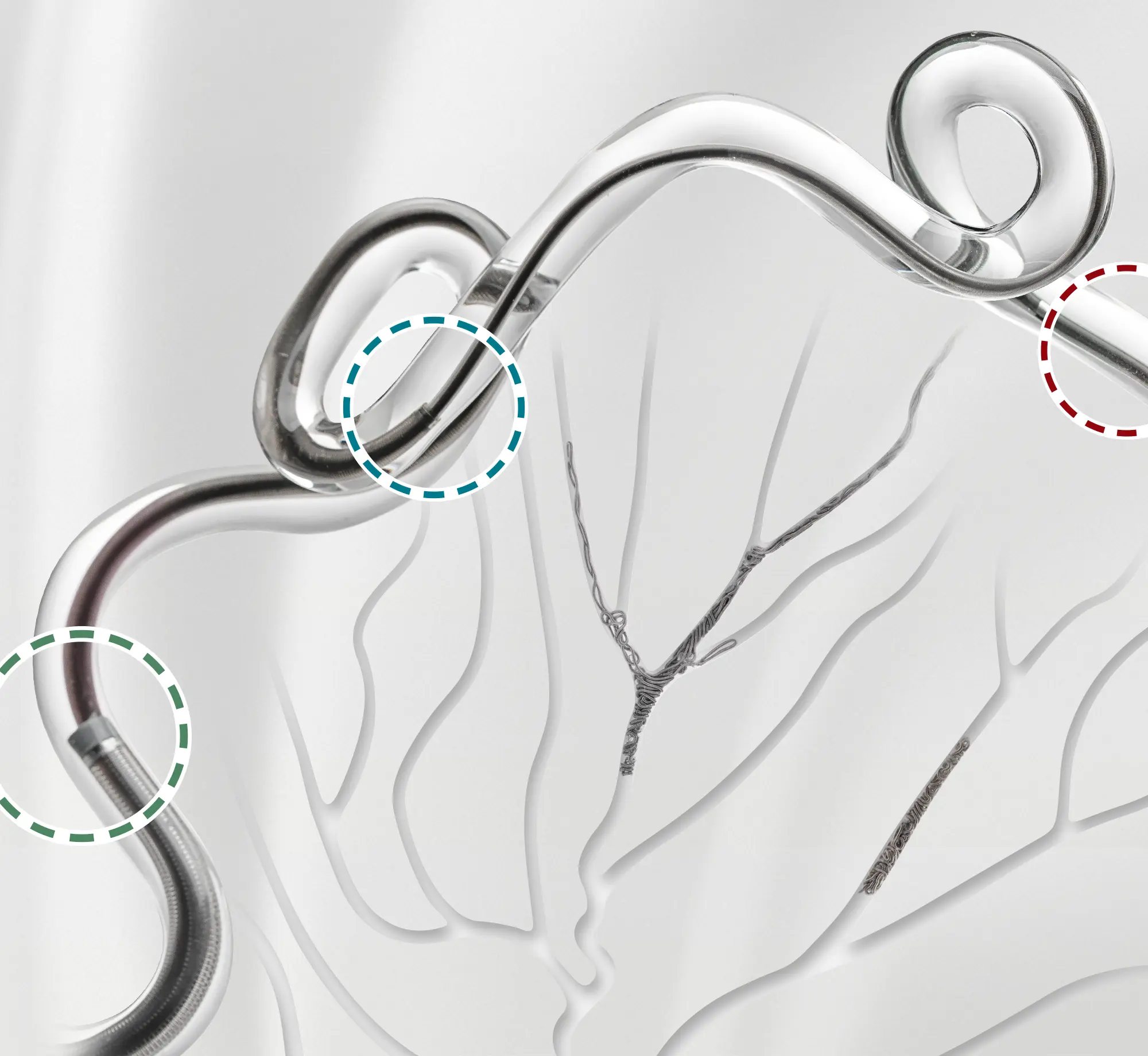 Access Catheters & embolization coils being deployed in a glass vessel