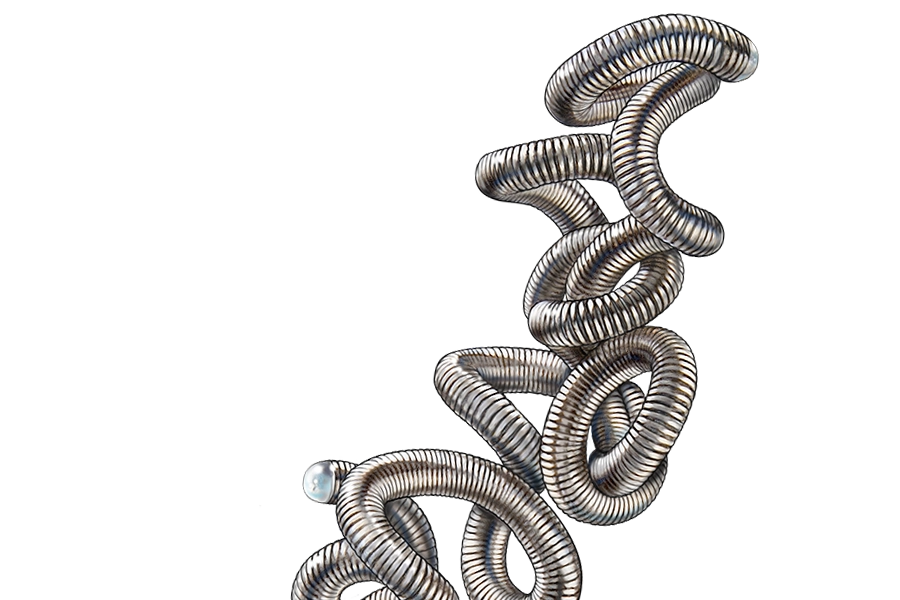 Illustration of a SMART Coil System Complex