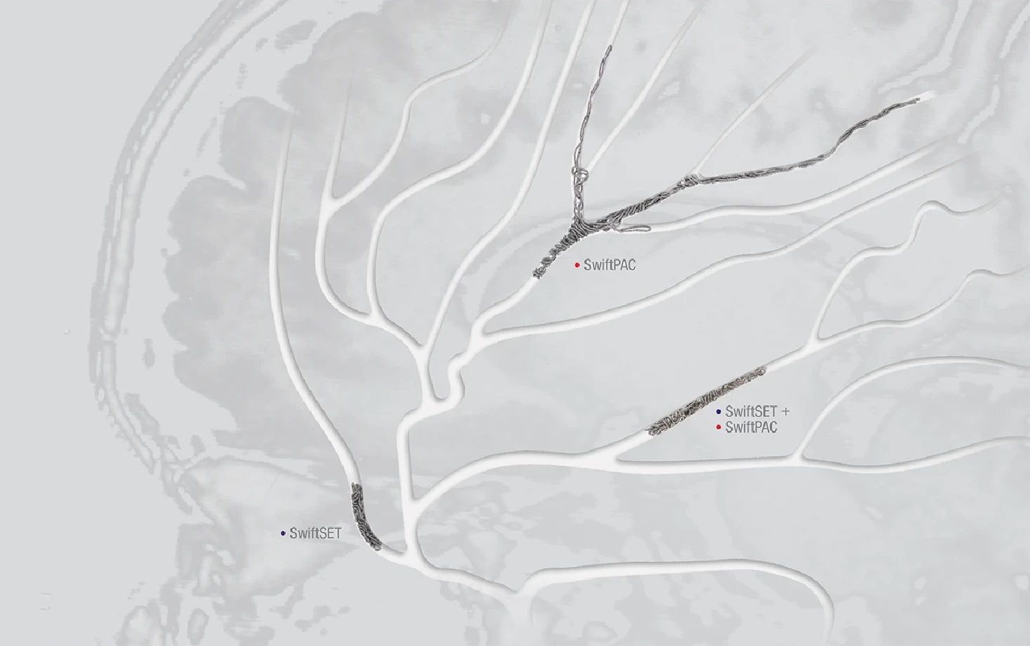 Abstract illustration of branching blood vessels forming a brain‑like shape, with interventional devices labeled SwiftSET and SwiftPAC positioned within the vessels.
