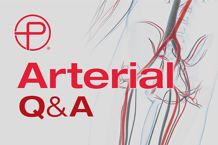 Illustration of arterial system with text