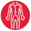ed circular icon showing a stylized human vascular anatomy outline.