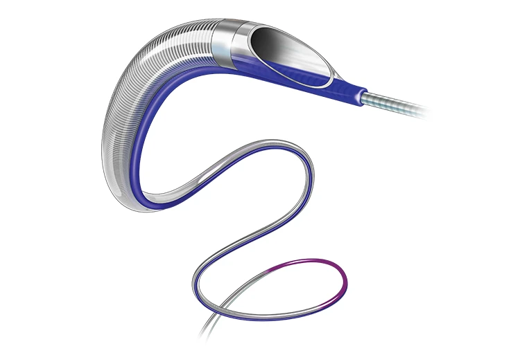 Illustration BMX 81 and BMX 96 Catheters