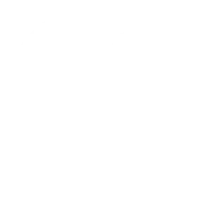 Storm PE Trial logo with heart and lungs and CAVT text